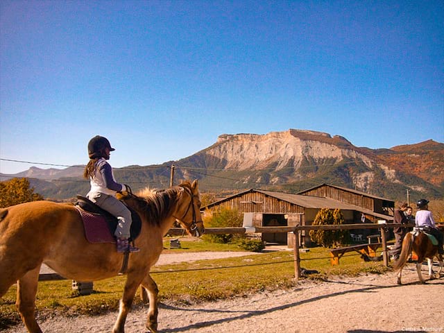 Equitation colonie de vacances enfants