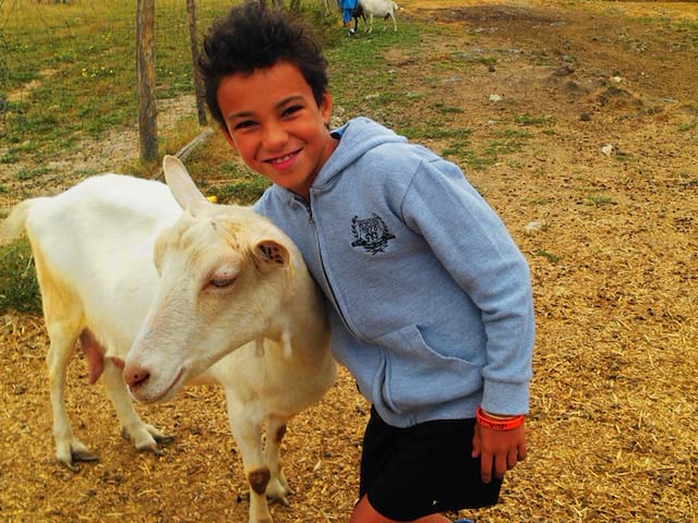 enfant avec les animaux de la ferme cet été en colo