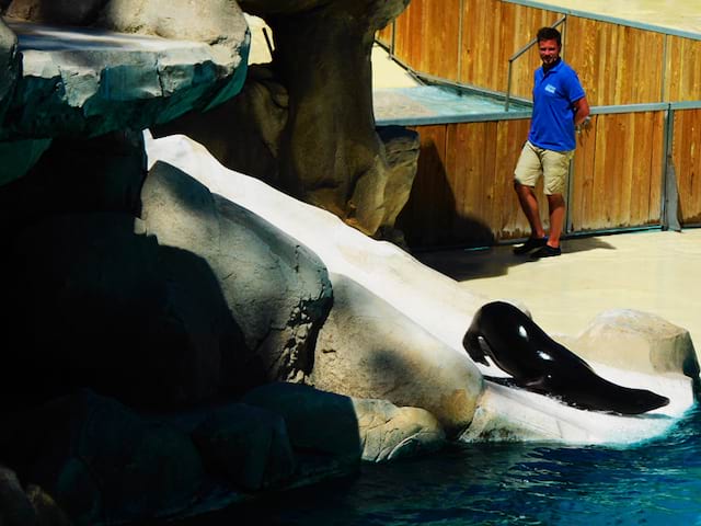 animaux aquatiques du zooparc de beauval pendant les colonies de vacances