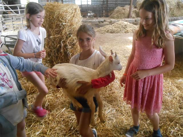 Jeunes enfants avec les animaux de la ferme en colonie de vacances