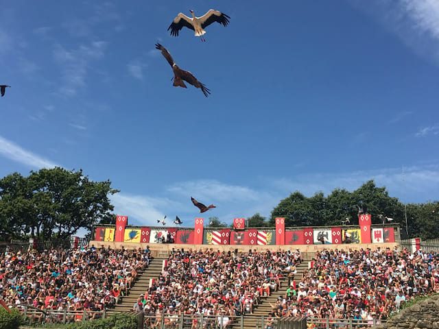 Spectacle de rapaces en colonie de vacances au Puy du fou