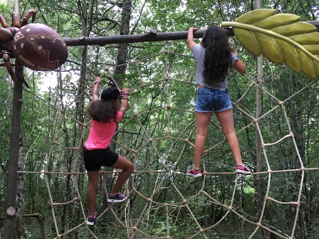 Enfants faisant de l'accrobranche en colonie de vacances cet été