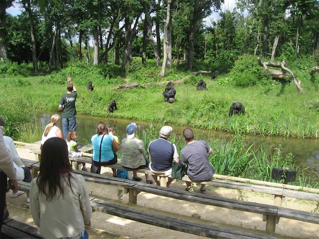 parc des singes colonie de vacances été