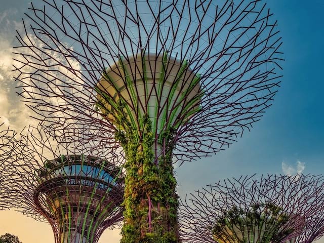 visite gardens by the bay en colonie de vacances ados 15 ans été