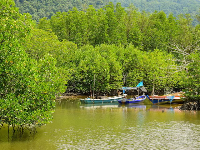 balade en bateau en colonie de vacances à singapour été