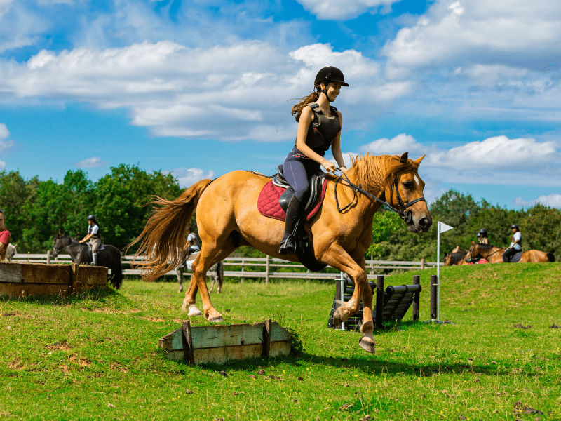 Saut d'obstacles en colo de vacances Equitation pour enfants et ados cet été