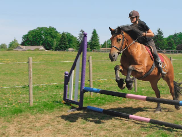 Saut d'obstacles Equitation en colo cet été 