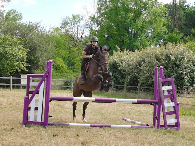 Saut d'obstacles en colo de vacances Equitation pour ados expérimentés cet été