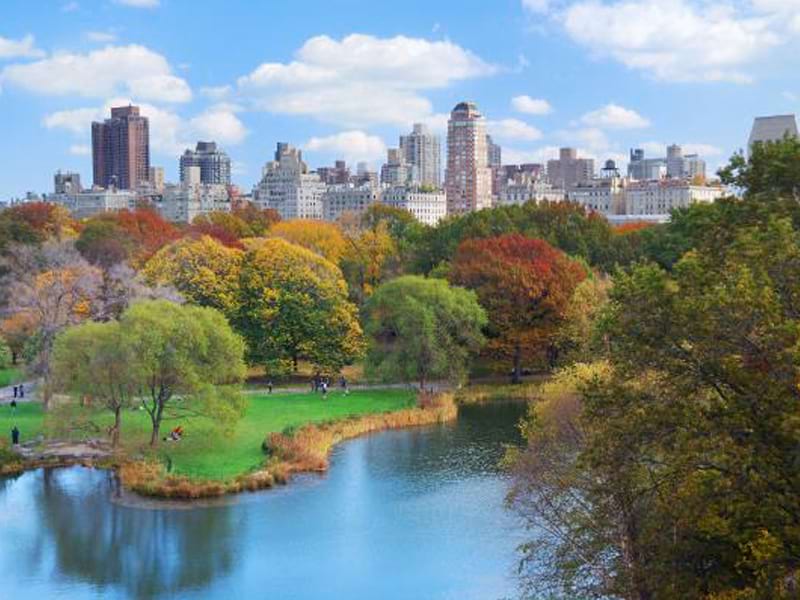 Colonie de vacances American life séjour