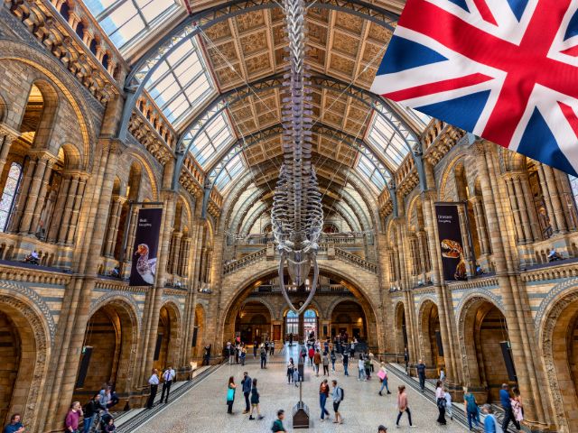 Natural History Museum à Londres cet été