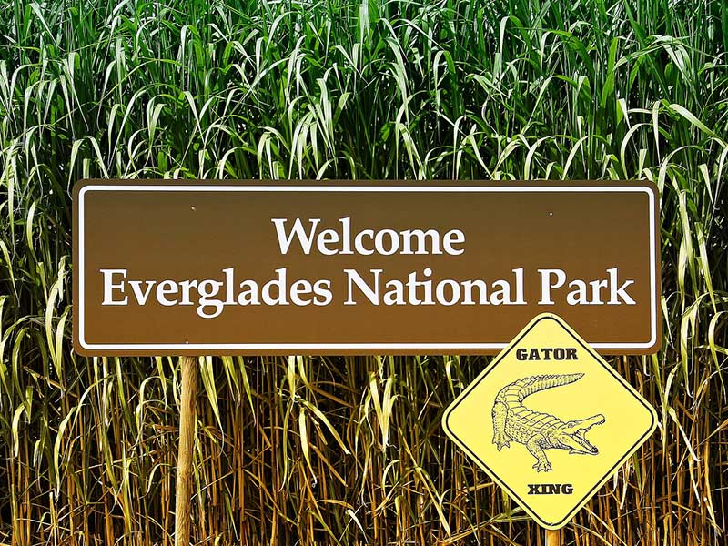 Parc national des Everglades où les jeunes ont été lors de leur colo de vacances en Floride