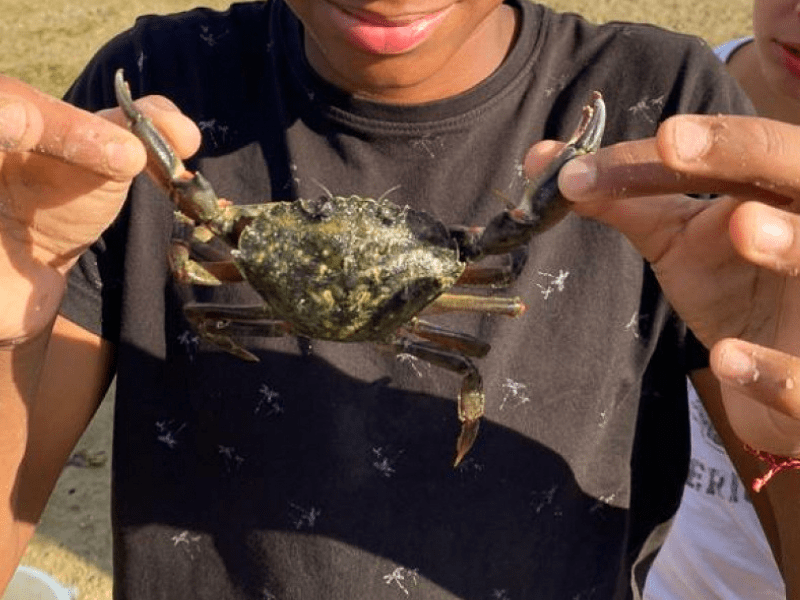 Jeune ado qui s'amuse avec un crabe sur la plage en colo de vacances en Normandie cet été