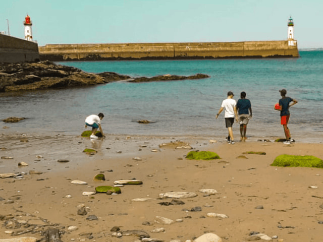 paysage de Normandie observé par les jeunes en colonie de vacances cet été