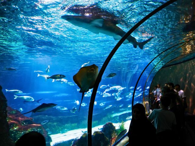 Aquarium de Barcelone en colo de vacances 