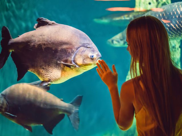 Aquarium de Barcelone en colo de vacances 