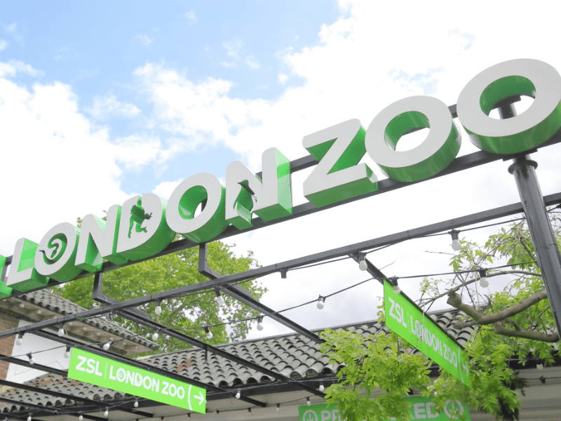 Vue sur le zoo de Londres que les jeunes visitent en colo de vacances cet été