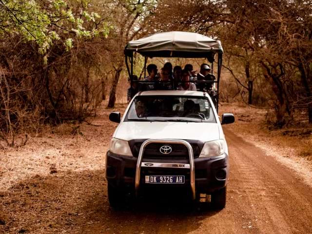 Safari dans le parc animalier de Bandia en colo de vacances humanitaire au Sénégal 