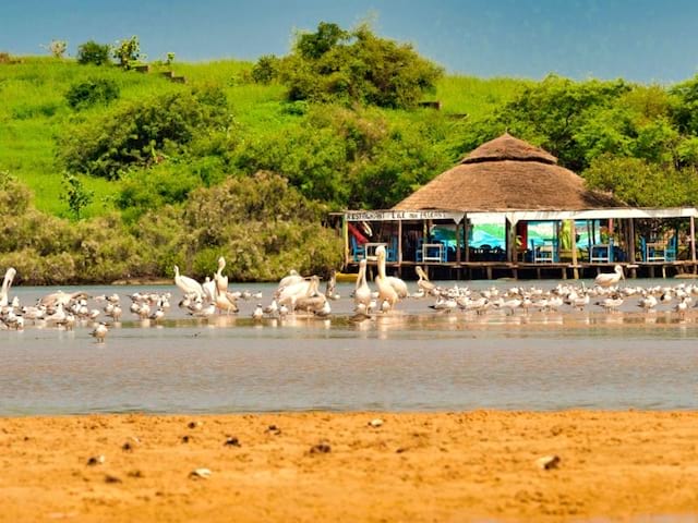 Paysage Djoudj au Sénégal où les ados ont été en colo de vacances humanitaire cet été