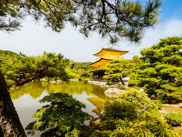Pavillon d'or japon en été
