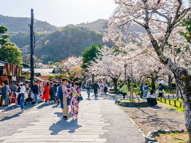 Quartier d'Arashiyama au Japon avec cerisiers en fleurs