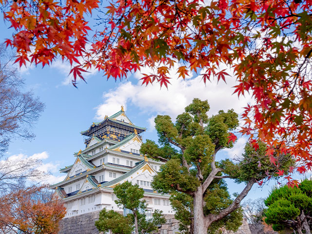 Chateau d'osaka au Japon