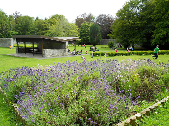 Parc naturel de Coole Park en Irlande