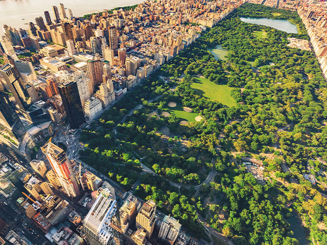 central park vu de haut colo spécial adolescents en été
