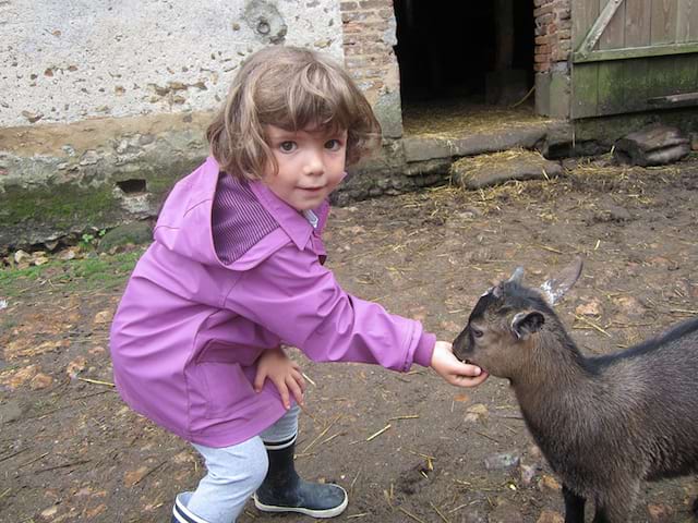 jeune fille s'occupant des animaux de la ferme en colonie de vacances cet été