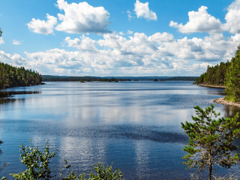 Ecrin naturel en Suede observé lors de la seconde partie de la colo de vacances des ados cet été