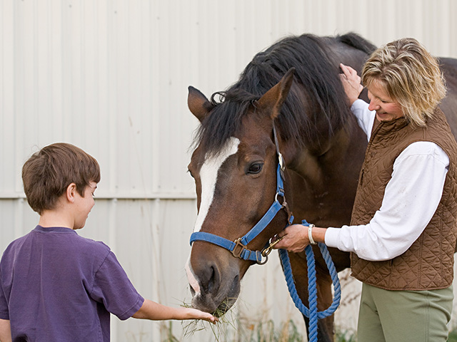 jeune garçon et son cheval en colo de vacances dans le vercors