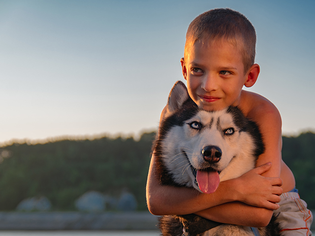 garçon et son chien de traîneau séjour à villard de lans été