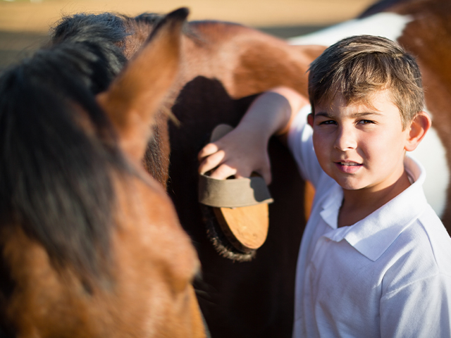 soin des chevaux lors d'une séance équitation en colo cet été