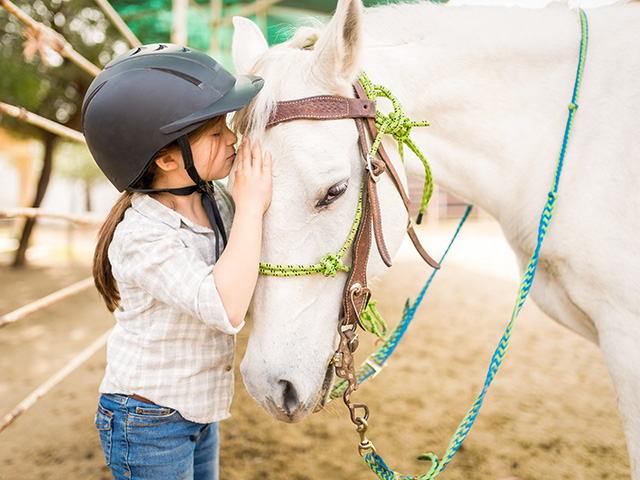 fille câlinant son cheval et se préparant à le monter colo été