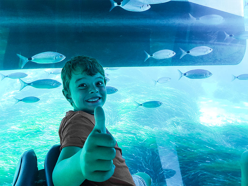 Jeune garçon qui observe les poissons lors de la sortie Aquascope en colonie de vacances
