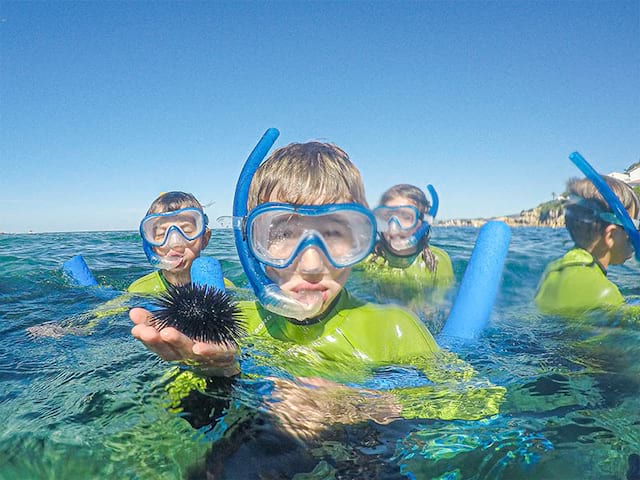 Enfants en colonies de vacances qui explore les fonds marins de Sanary sur Mer