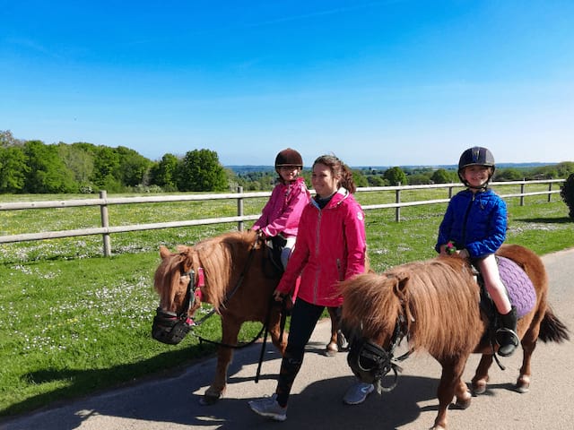 Balade à poney en colo de vacances cet été
