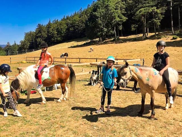 Colo de vacances poney cet été