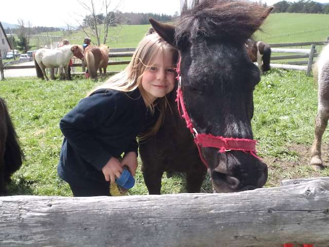 Enfant qui caresse un cheval en colonie de vacances