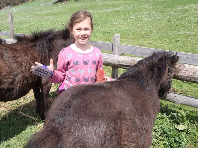 Enfant qui brosse un cheval