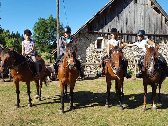 Quatre jeunes filles sur des chevaux