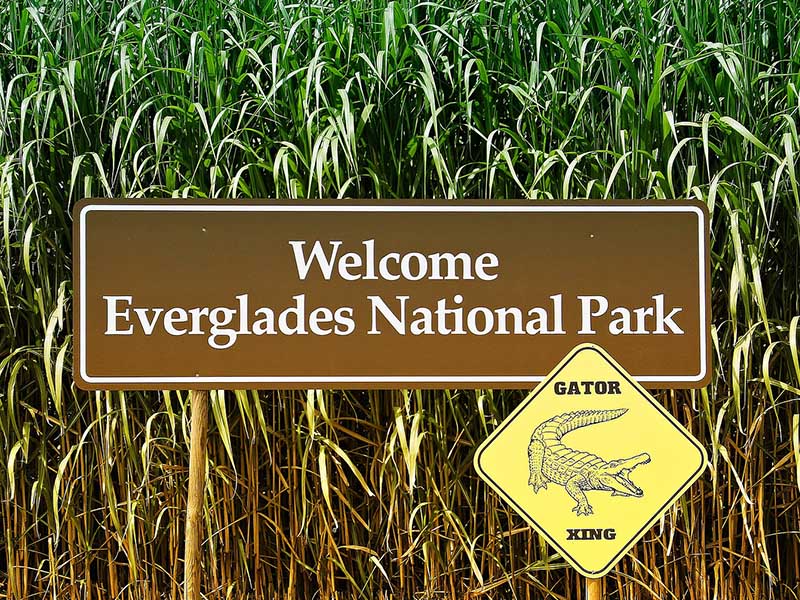 visite Everglades ados en colo aout