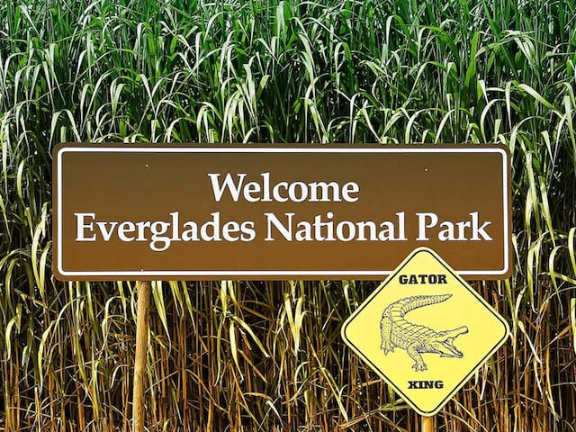 visite Everglades ados en colo aout