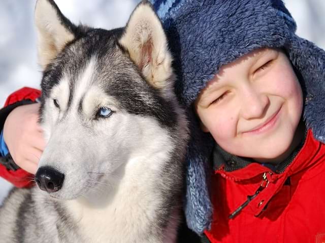 Portrait d'un enfant de 8 ans avec un chien de traineaux en colonie de vacances