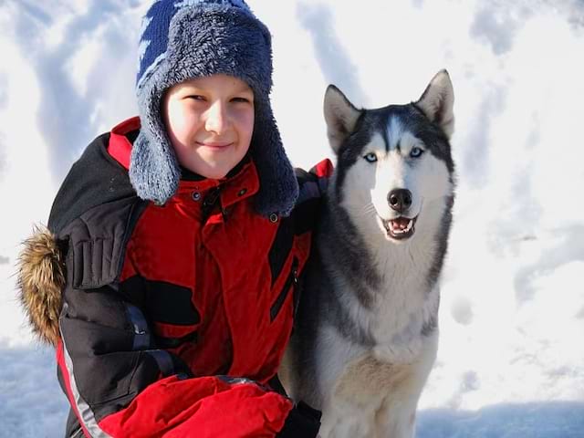 Portrait d'un enfant en colonie de vacances avec un chien de traineaux