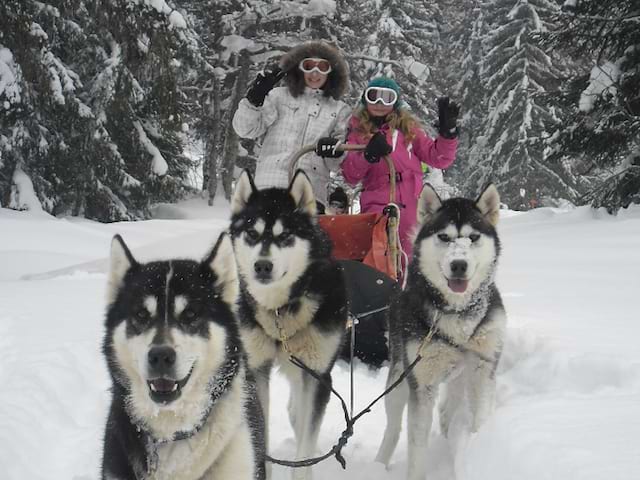 Enfants en balade à chiens de traîneaux 