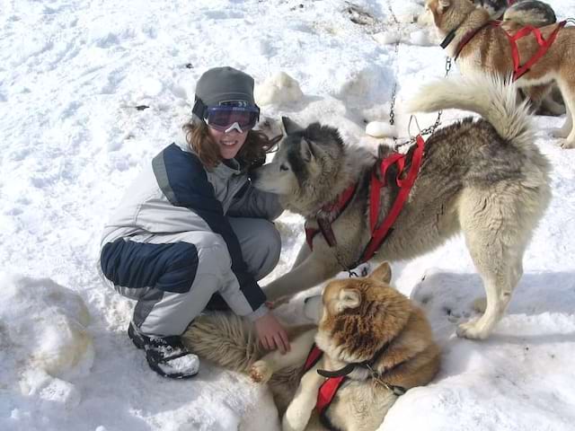 Enfant jouant avec des husky dans la neige