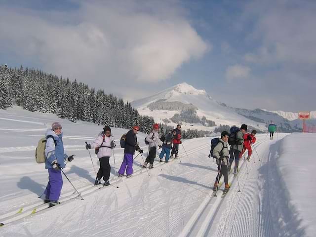 Adolescents faisant du ski de fond à la montagne en colo