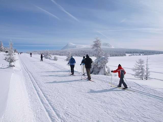 Enfants apprenant le ski de fond en colo