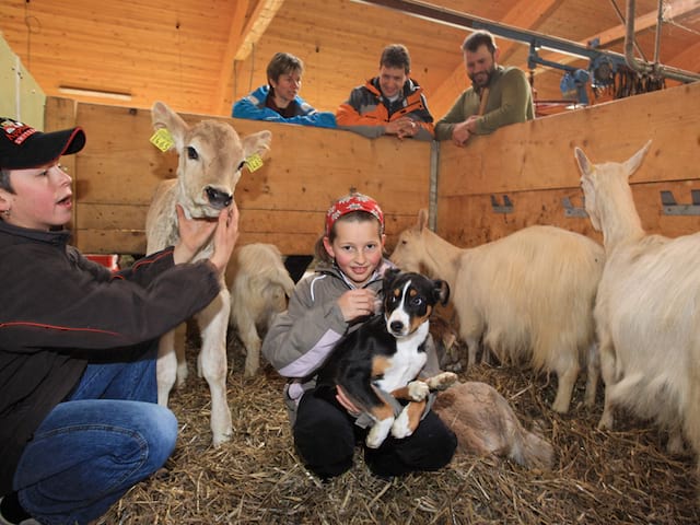 Enfants avec des animaux de la ferme