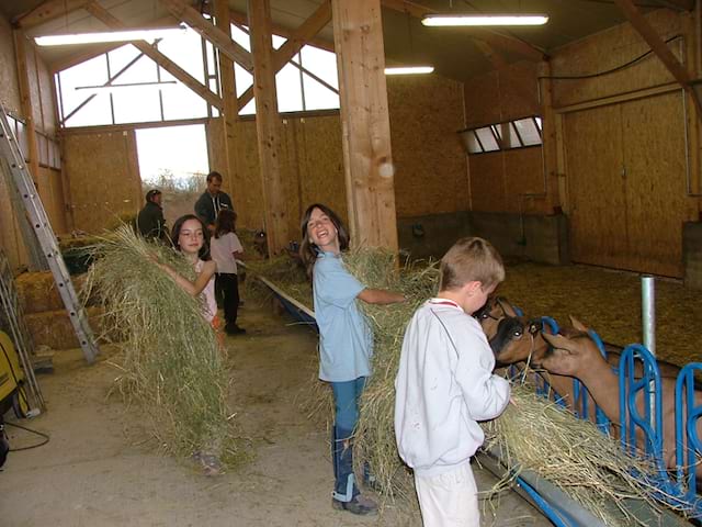 Enfants découvrant le travail à la ferme